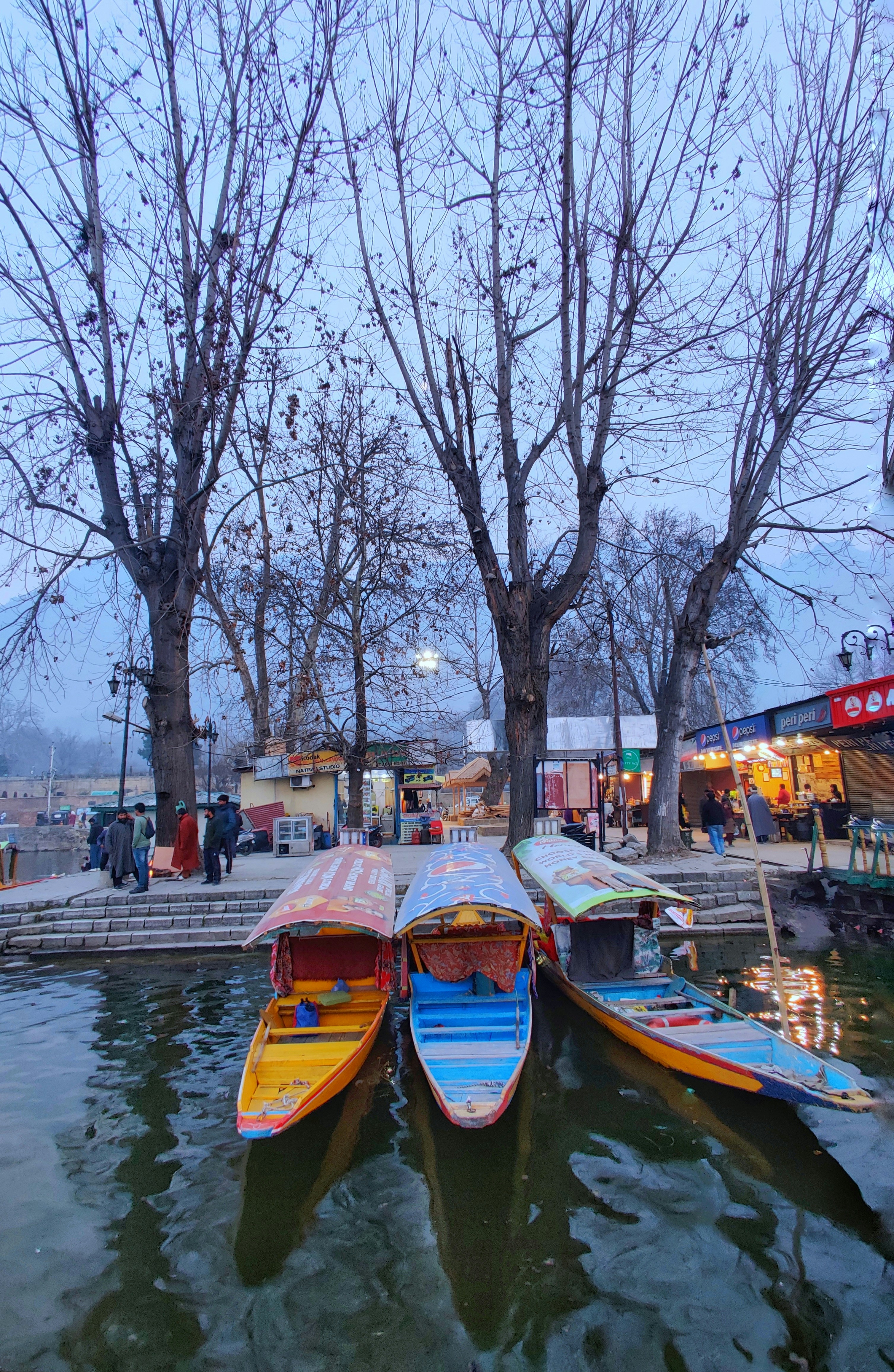 Kashmir Dal Lake