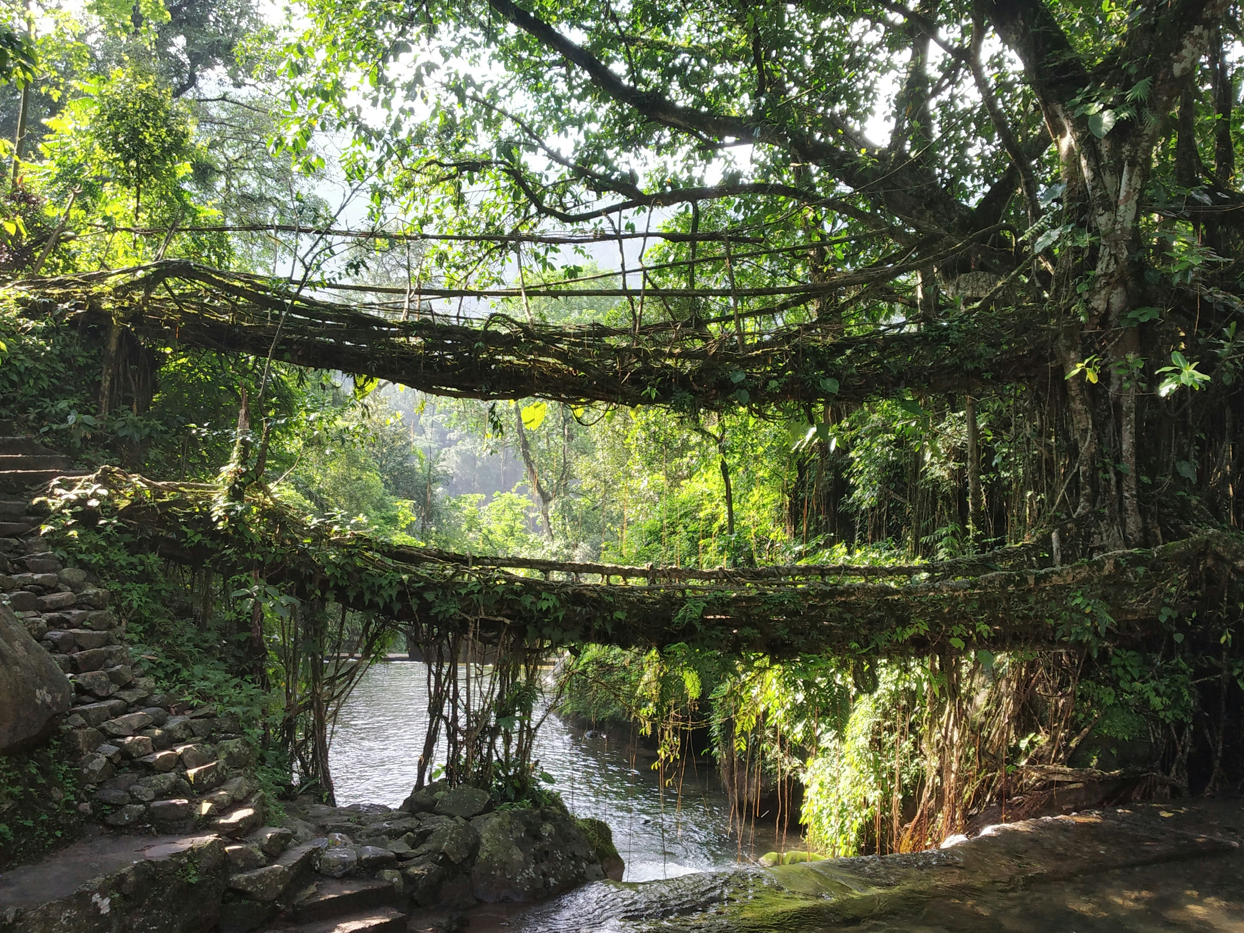 Meghalaya Waterfalls
